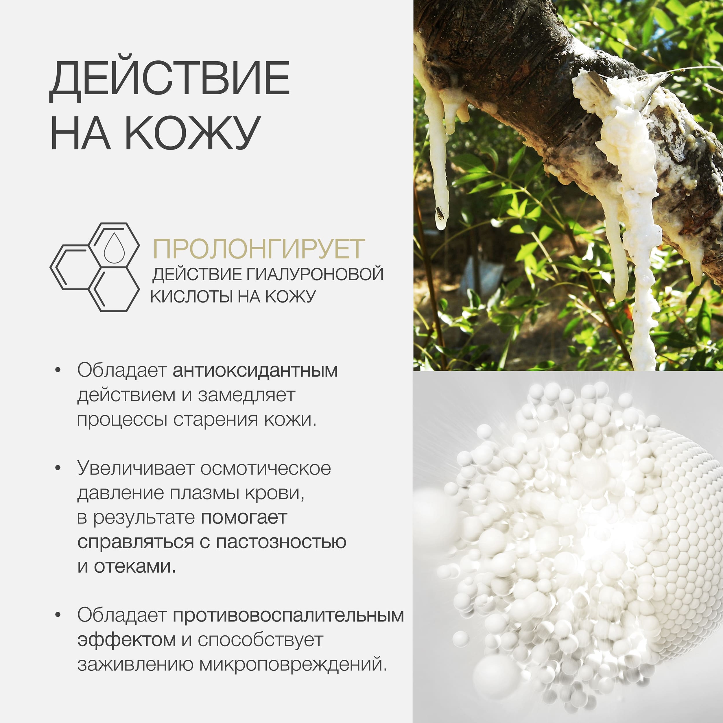 Пост маннитол (манна) 4.jpg